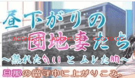 【ADV/AI汉化/#CV】午后住宅区的人妻们～成熟的气息与微汗的肌肤～【电脑/895M】